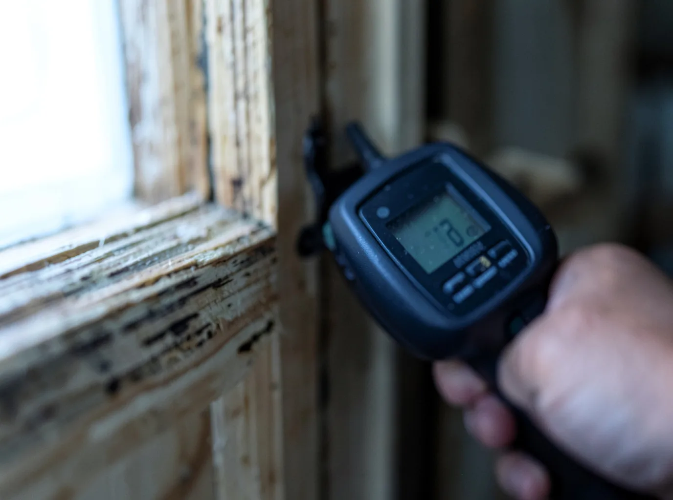 Moisture Inspection And Documentation in La Coste, TX